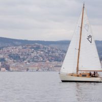 067 lucchi img 3651
