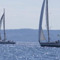 ©lucchi img 5464