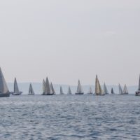 sociali tesei22