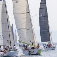 sociali tesei32