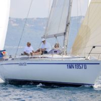 sociali tesei47