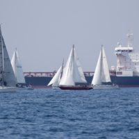sociali tesei53