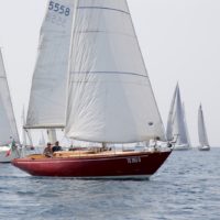 sociali tesei66